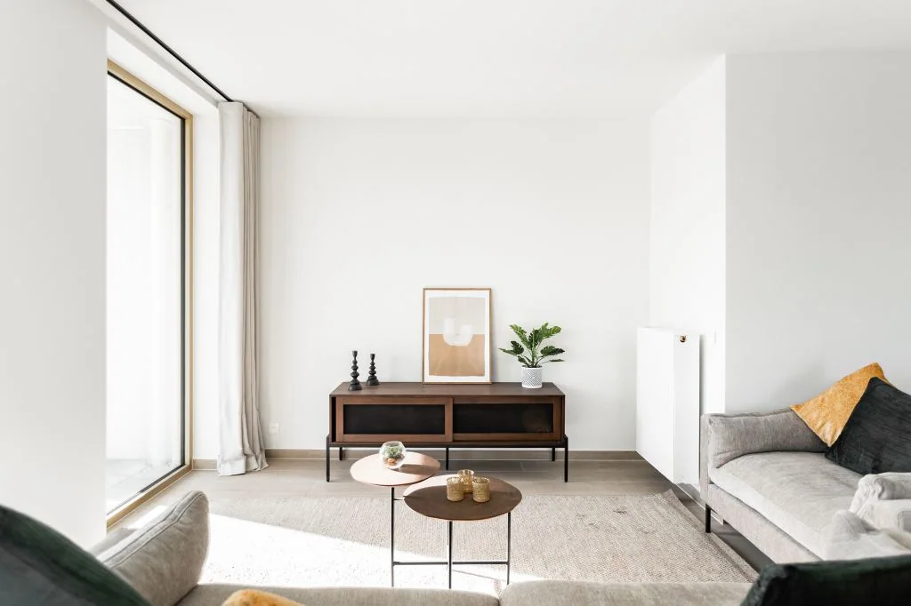 Salon lumineux aux murs blanc doux, avec un canapé gris et des touches de bois.